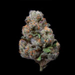 Buy Cannabis FLowers Local Roots Ice Cream Cake Indica strain in Europe