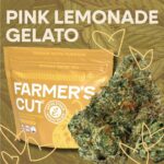 Buy Farmer's Cut Pink Lemonade Gelato Sativa strain in Europe
