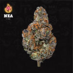 Buy Northeast Alternatives Grease Monkey Indica strain in Europe