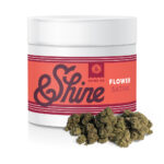 Buy &Shine Jack Herer Sativa strain in Europe