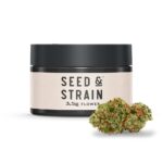 Buy Seed and Strain Chocolope Sativa strain in Europe