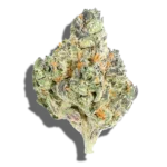 Buy TEND.HARVEST.CULTIVATE. Alpha Dog 1oz Indica strain in Europe