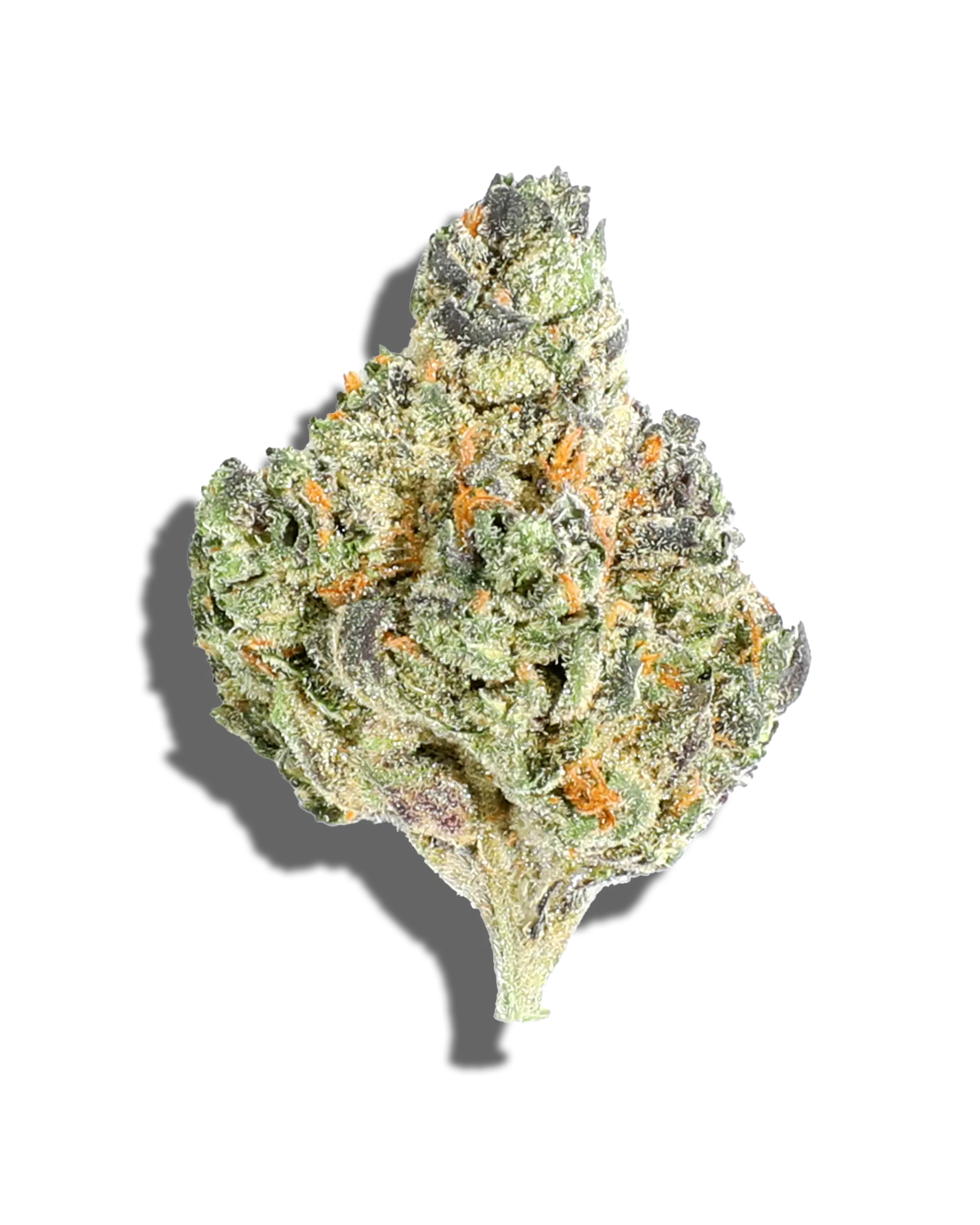 Alpha Dog 1oz cannabis flower