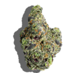 Buy TEND.HARVEST.CULTIVATE. Apple Tartz 3.5g Hybrid strain in Europe