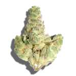Buy COMMON CITIZEN Banana Banshee 1oz Indica strain in Europe