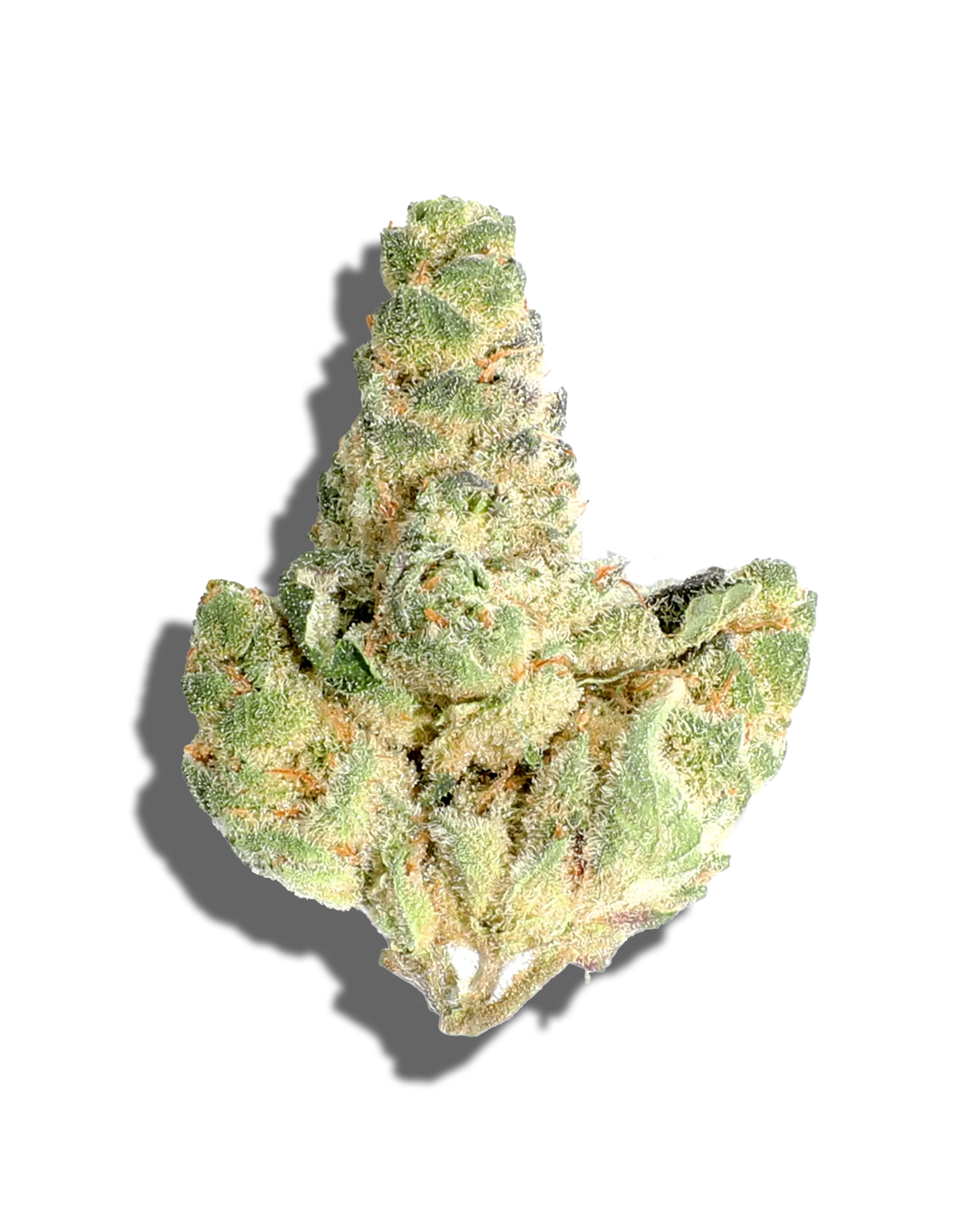 Banana Banshee 1oz cannabis flower