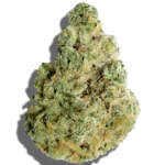 Buy COMMON CITIZEN Diamond Bar 1oz Hybrid strain in Europe