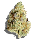 Buy CLASSIC ROOTS Duck Confit OG 3.5g Sativa strain in Europe