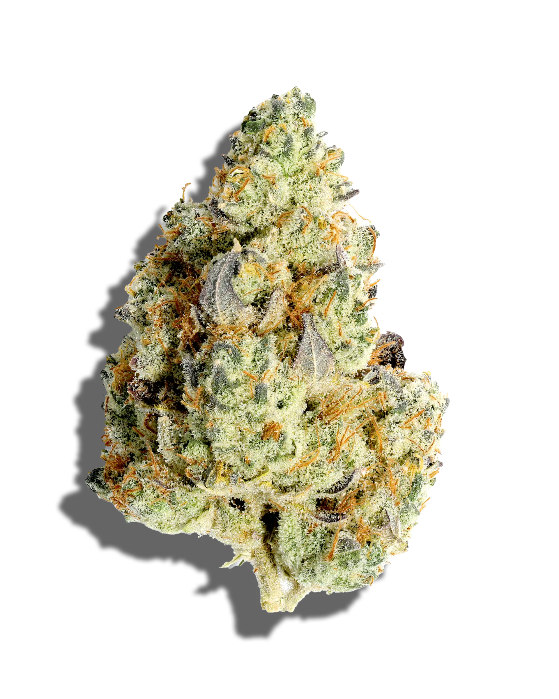 Duck Confit OG 3.5g cannabis flower