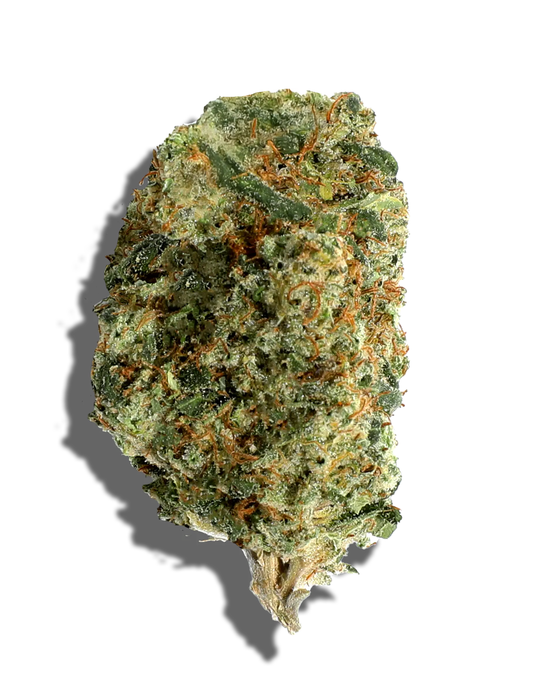 East Coast Sour Diesel 1oz cannabis flower