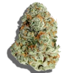 Buy TEND.HARVEST.CULTIVATE. Frozen Peaches 3.5g Hybrid strain in Europe