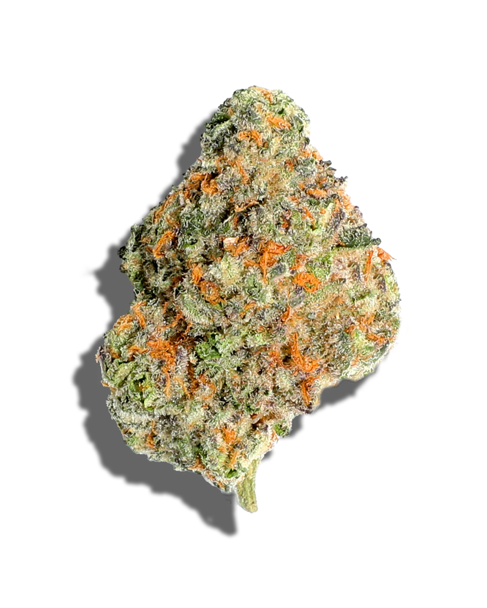 Georgia Haze 3.5g cannabis flower