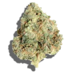 Buy WHEELHOUSE CANNABIS CO. Ghost Train Haze #1 1oz Sativa strain in Europe