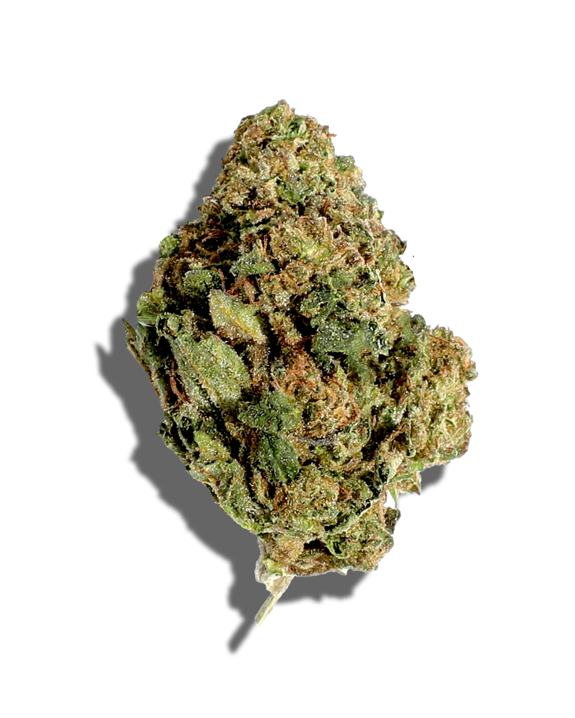 Sungrown Jealouzy 1oz cannabis flower
