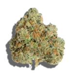 Buy HOLISTIC INDUSTRIES Lemon Maraschino 3.5g Hybrid strain in Europe