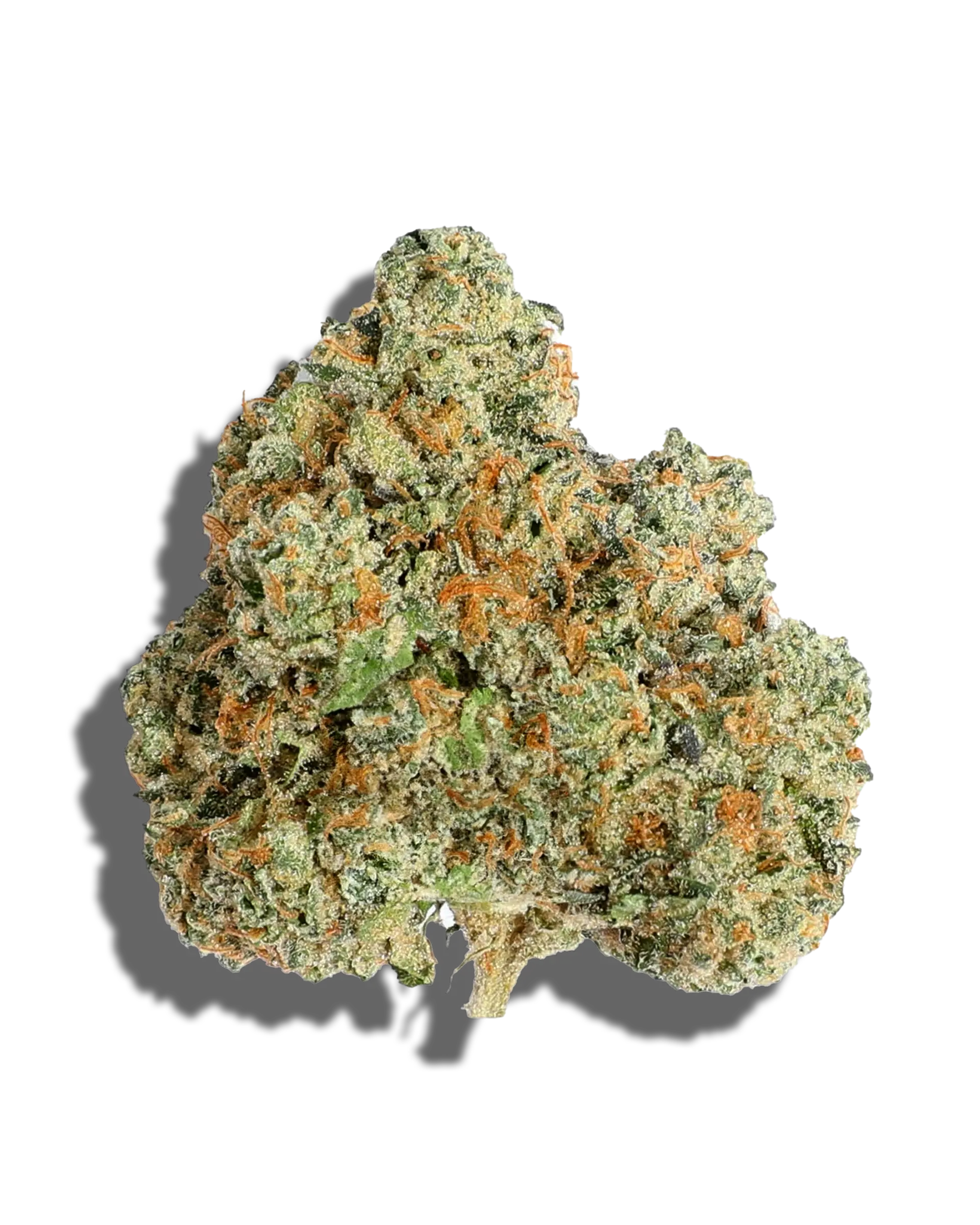 Lemon Maraschino 3.5g cannabis flower