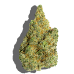 Buy TEND.HARVEST.CULTIVATE. Mango Mintality 1oz Sativa strain in Europe