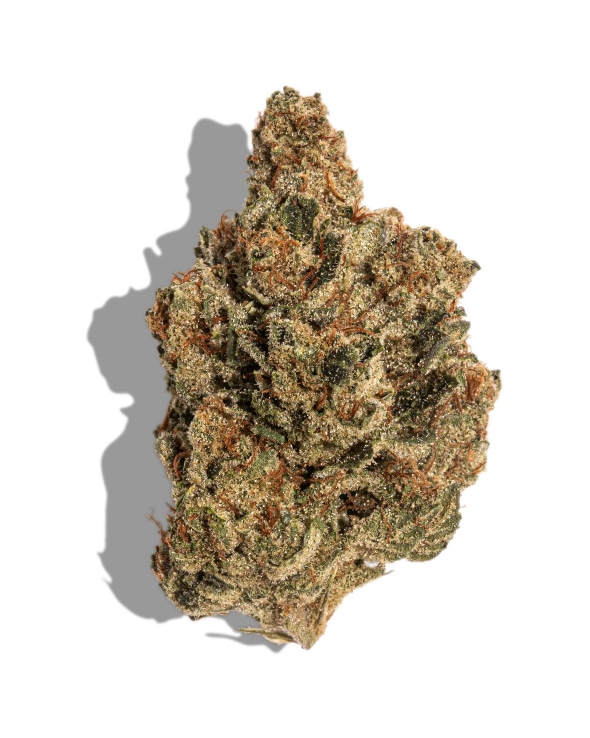 Motorbreath 3.5g cannabis flower