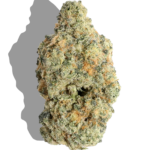 Buy TEND.HARVEST.CULTIVATE. Oh Geez 3.5g Sativa strain in Europe