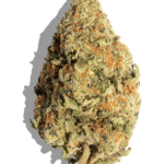 Buy TEND.HARVEST.CULTIVATE. Pineapple Express 3.5g Sativa strain in Europe