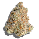 Buy BODEGA Plastic 3.5g Hybrid strain in Europe