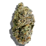 Buy FRANKLIN FIELDS Sherb Creme Pie 3.5g Indica strain in Europe