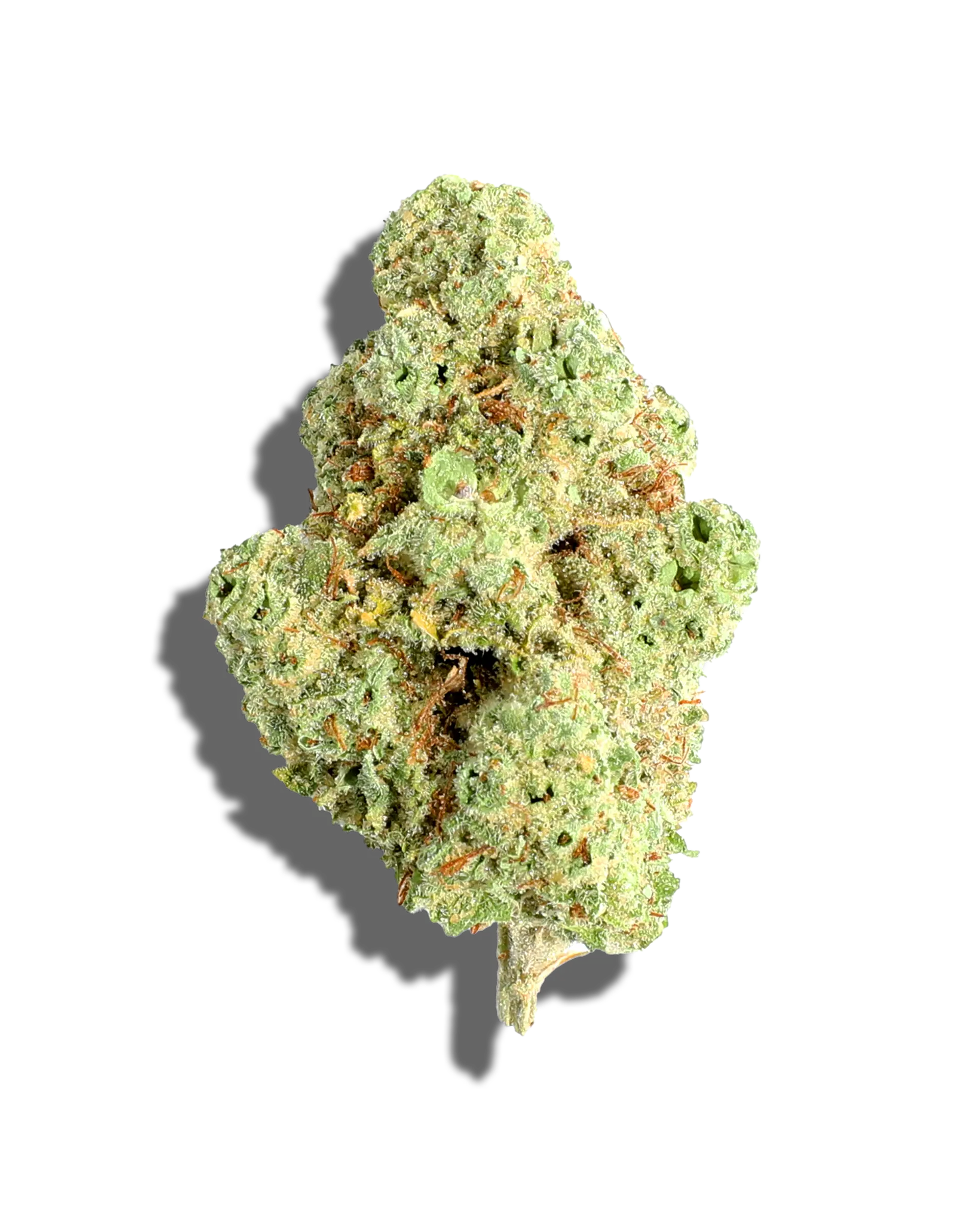 Sour Lime Haze 3.5g cannabis flower