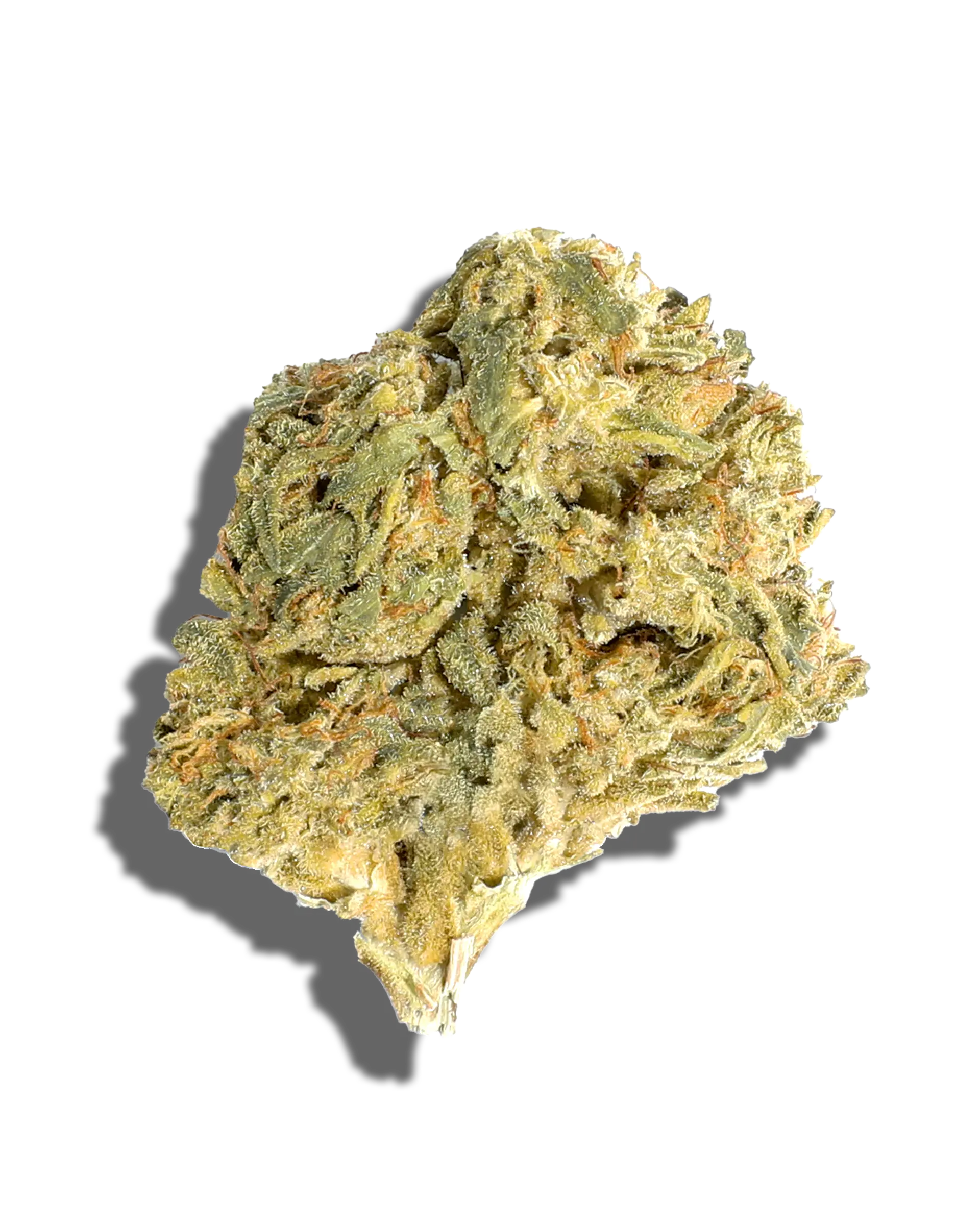 Sungrown Biscotti Cake 1oz cannabis flower