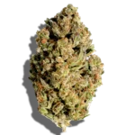 Buy GRASSHOPPER FARMS Sungrown Fatso 3.5g Hybrid strain in Europe