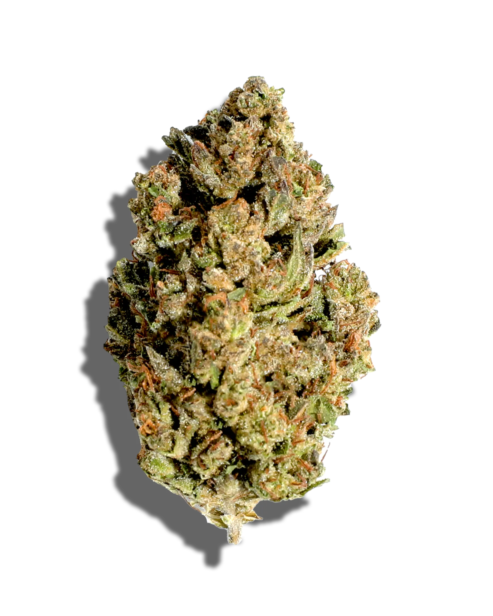 Sungrown Fatso 3.5g cannabis flower