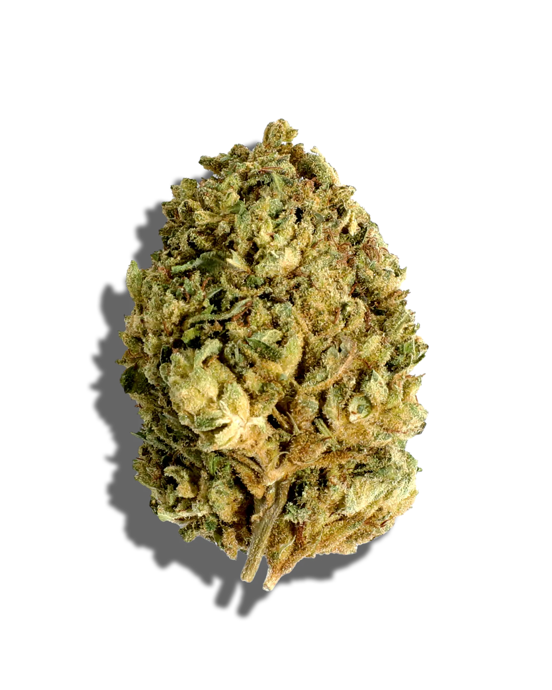 Sungrown Grasshopper Glue 3.5g cannabis flower