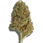 Buy GRIP Sungrown Greasy 1oz Dream strain in Europe