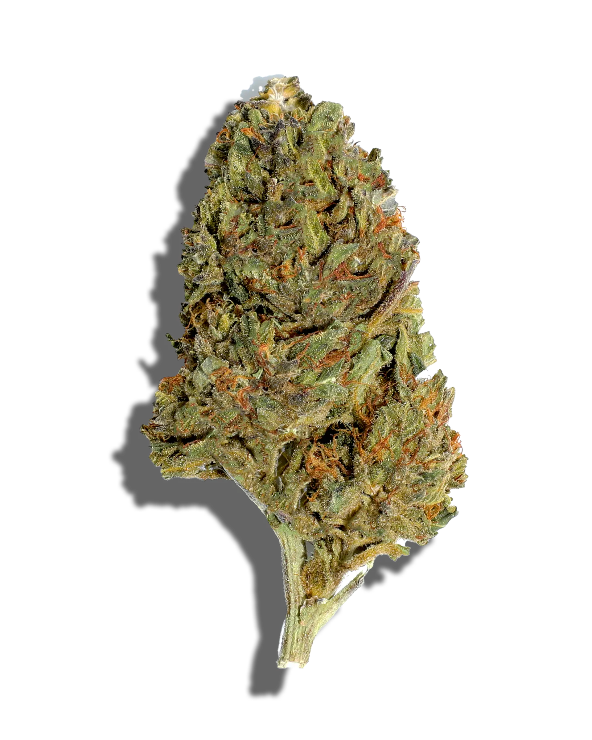 Sungrown Greasy 1oz cannabis flower