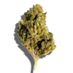 Buy GRASSHOPPER FARMS Sungrown Hip Hop Kush 3.5g Hybrid strain in Europe
