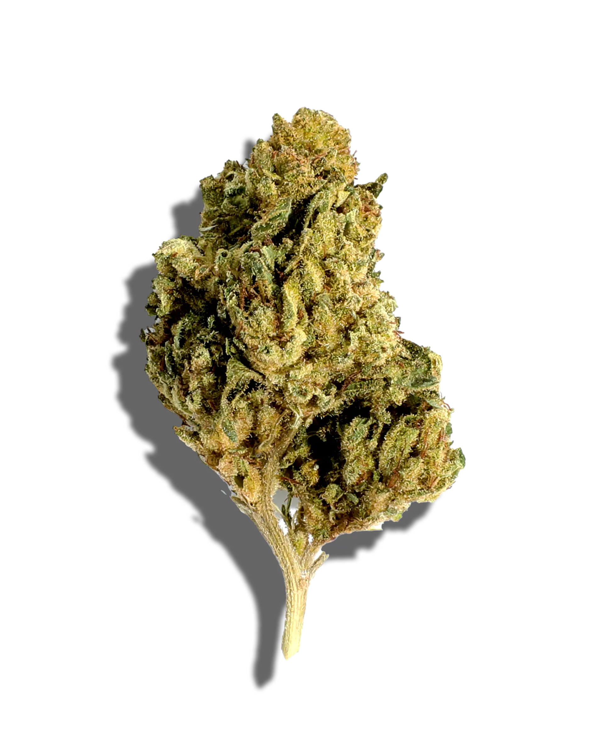 Sungrown Hip Hop Kush 3.5g cannabis flower