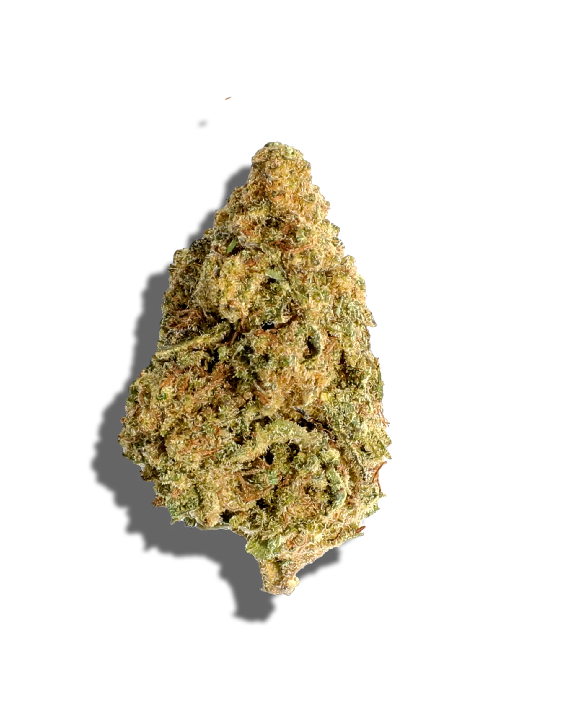 Sungrown MAC 1 1oz cannabis flower