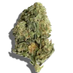 Buy GRIP Sungrown Mango Tango 1oz Dream strain in Europe