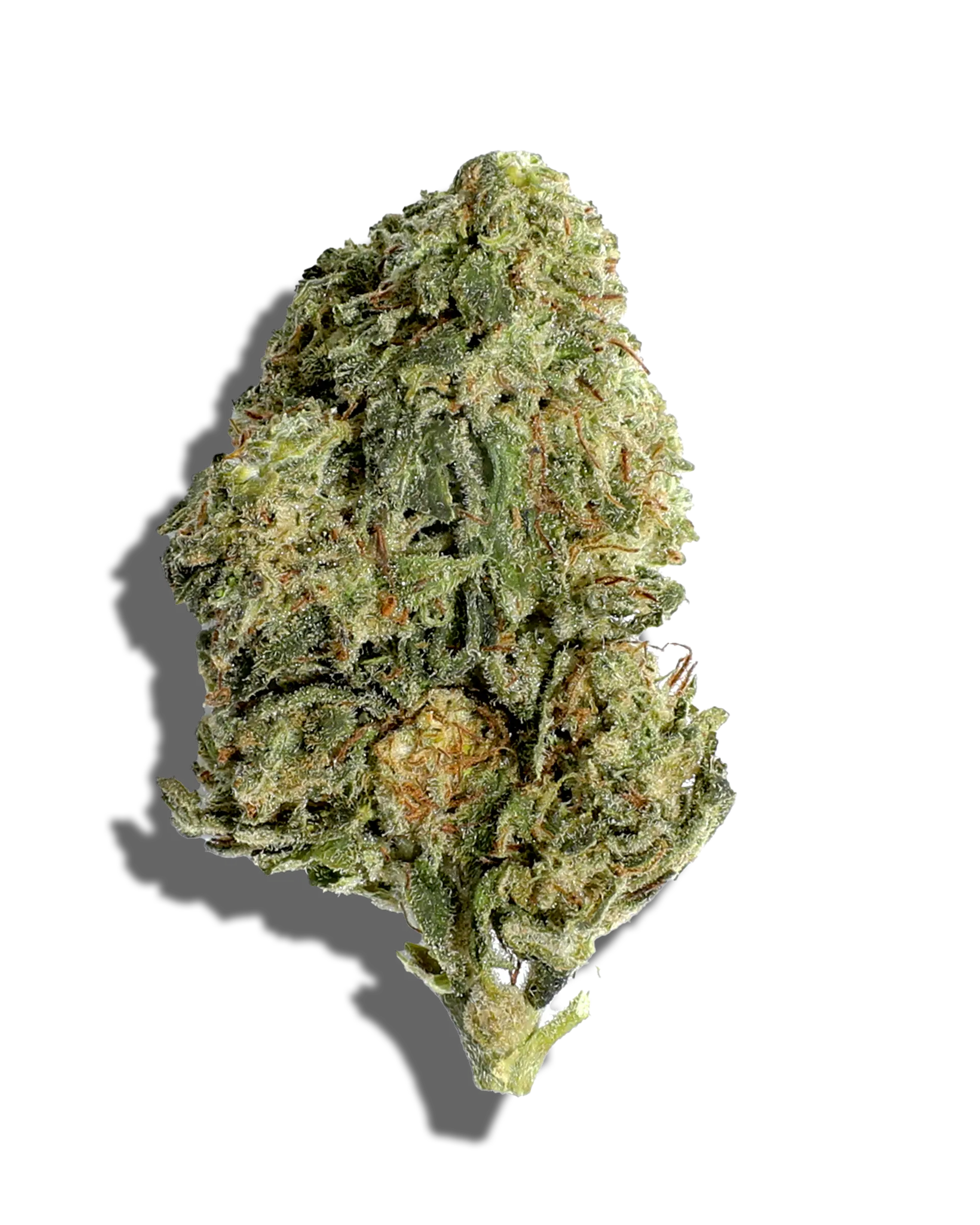 Sungrown Mango Tango 1oz cannabis flower
