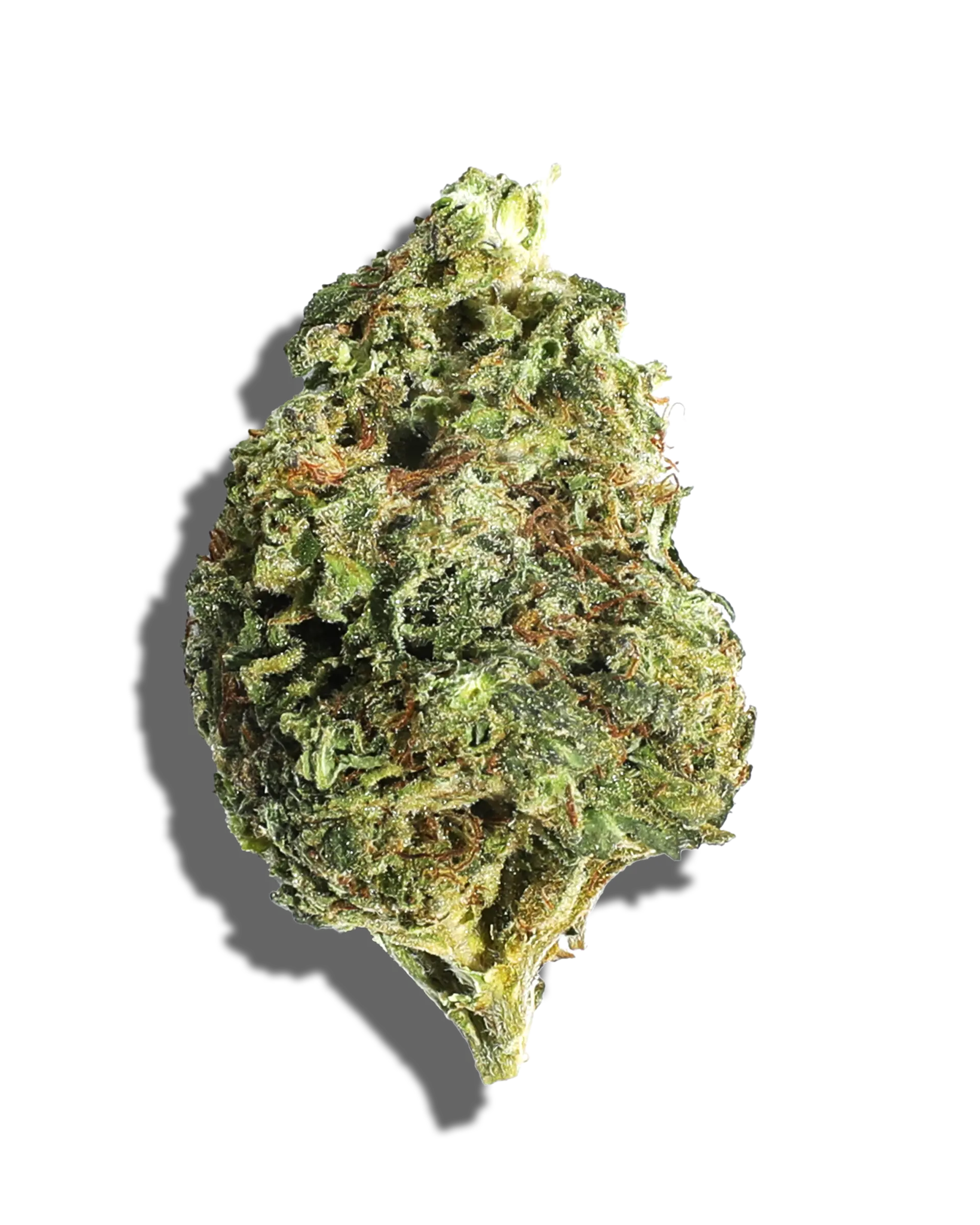 Sungrown Red Velvet Pie 1oz cannabis flower