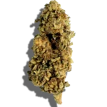 Buy GRASSHOPPER FARMS Sungrown Van Monster 1oz Hybrid strain in Europe