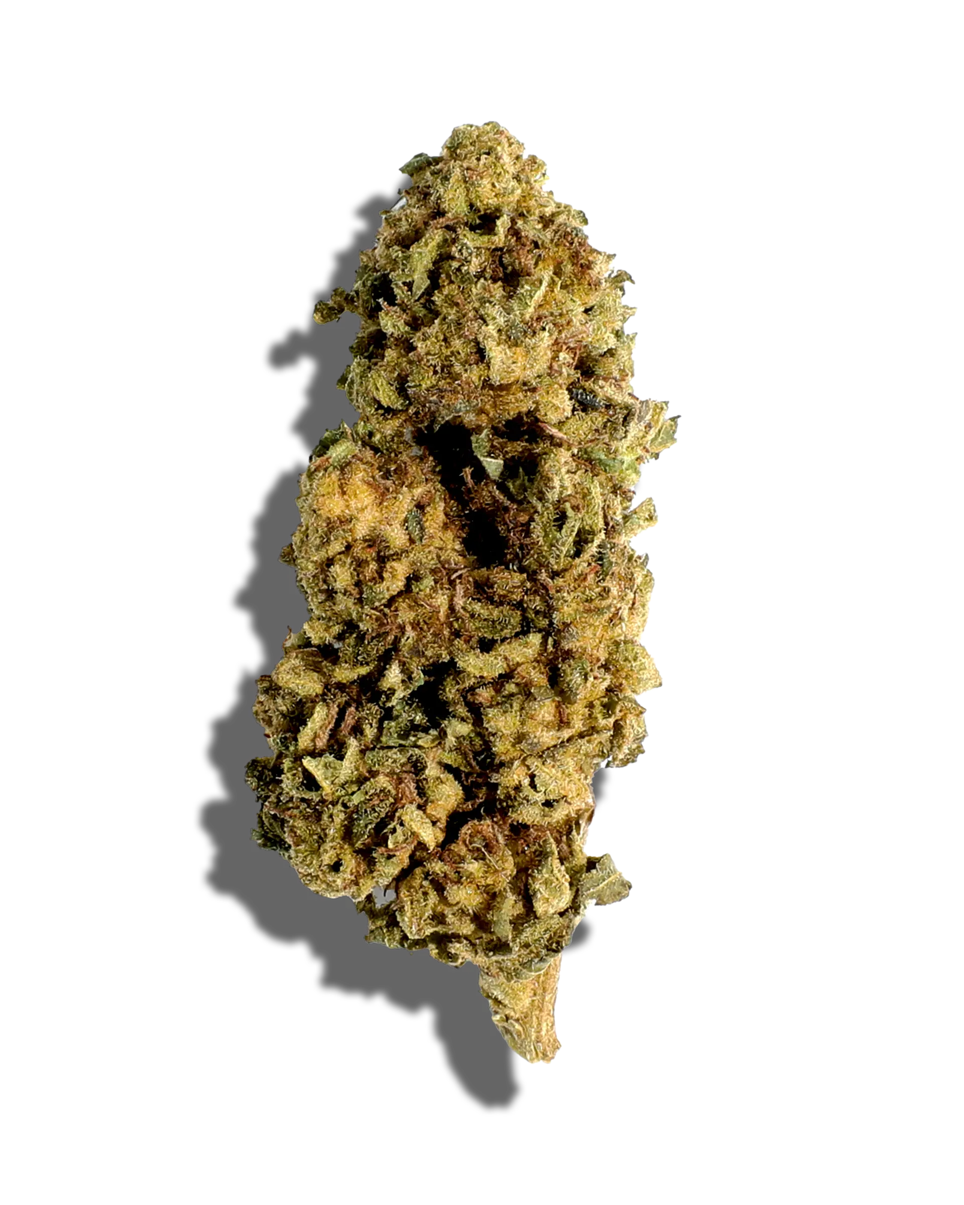 Sungrown Van Monster 1oz cannabis flower