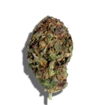 Buy HERITAGE FARMS Sungrown Trop Cherry 1oz Hybrid strain in Europe