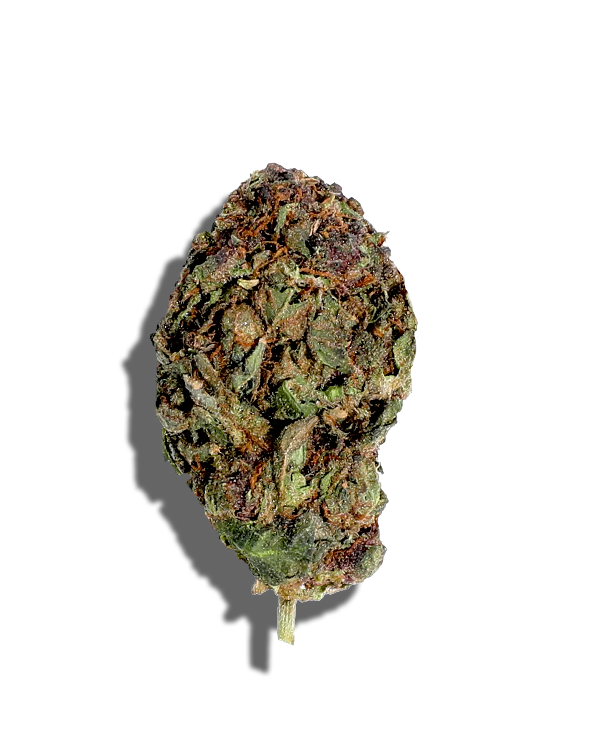 Sungrown Trop Cherry 1oz cannabis flower