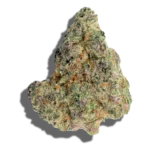 Buy TEND.HARVEST.CULTIVATE. Trop Peels 1oz Sativa strain in Europe