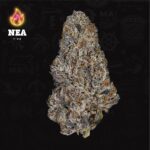 Buy Northeast Alternatives Babby Powder Indica strain in Europe