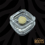 Buy Local Roots Pura Vida Sativa strain in Europe