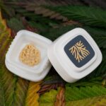 Buy Local Roots Ice Cream Cake Hybrid strain in Europe