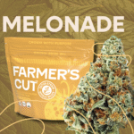 Buy Farmer's Cut Blue Zushi Indica strain in Europe
