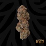 Buy Local Roots Cookie Hashplant Hybrid strain in Europe