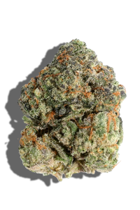 Buy TEND.HARVEST.CULTIVATE. Purple Pineapple 1oz Sativa strain in Europe